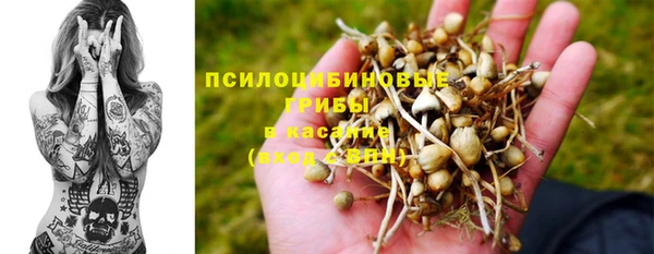 тгк Армянск