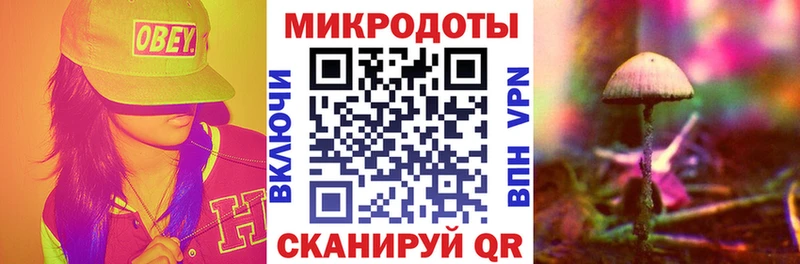 Купить закладки  Тара  Псилоцибиновые грибы мицелий 